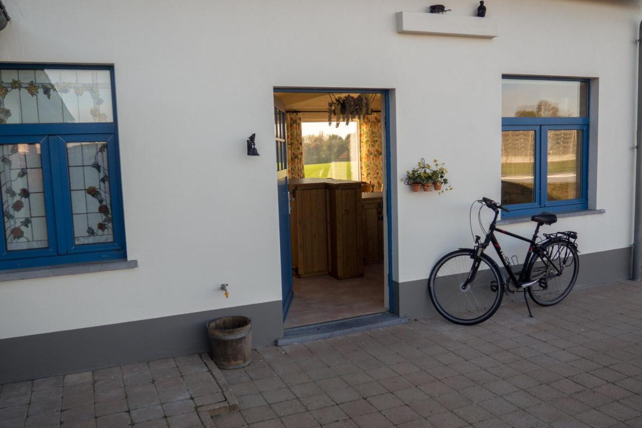 Vakantiewoning De Wilg - Rustig Gelegen Geraardsbergen Bagian luar foto